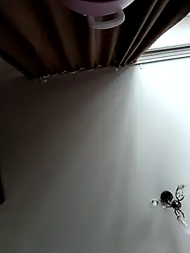 Lovers  Annn online show from March 2026 03:10:01 AM