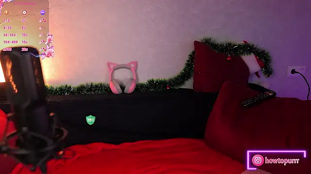 Snapshot of How2Meow chatting on January 2025 05:44:01 PM How2Meow online show from January 2025 05:44:01 PM