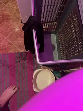 sissyboy-666- online show from January 2026 05:11:01 AM