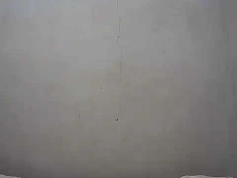 Aalexandrea online show from December 2025 04:19:01 PM