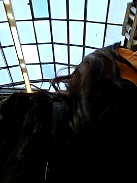 LeticiaWoods online show from November 2025 10:48:01 AM