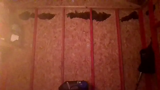 prettyboytatted69 online show from April 2026 07:03:02 AM