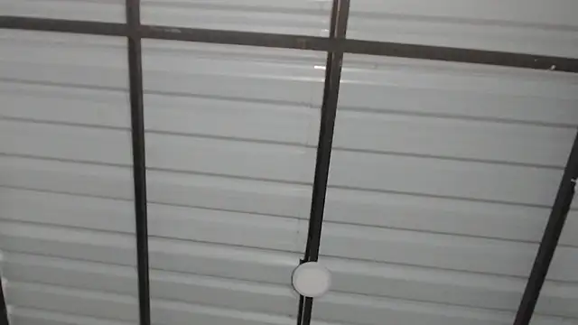 candylove05 online show from March 2026 04:21:01 PM