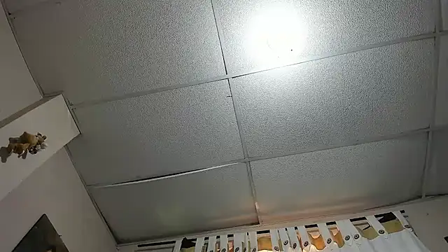 davidlatin66 online show from March 2026 08:46:02 PM