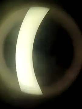 Snapshot of HotWifeNisha chatting on December 2024 08:54:01 PM HotWifeNisha online show from December 2024 08:54:01 PM