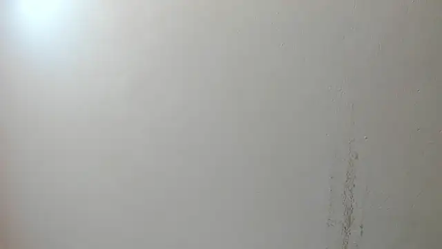 sarita loven online show from July 2026 05:04:02 AM