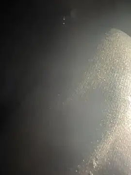 Snapshot of kleinerAlex chatting on March 2025 05:00:02 AM kleinerAlex online show from March 2025 05:00:02 AM