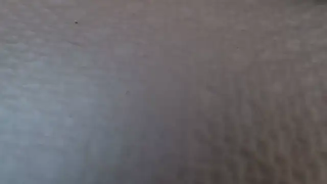 TsSandyx online show from April 2026 10:22:01 AM