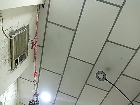 DanelyLopez online show from February 2026 02:43:02 AM