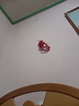 HAIRY PUSSY BIG online show from March 2026 02:49:02 AM