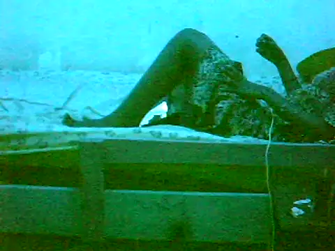 De maskedcouple online show from January 2025 10:29:02 PM