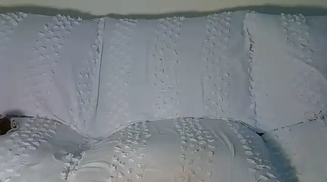 Snapshot of wetmypants chatting on March 2025 06:10:01 AM wetmypants online show from March 2025 06:10:01 AM