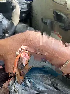 Dakku 69 online show from March 2026 09:50:01 AM