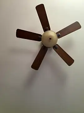 QueenNuttCollector online show from March 2026 04:41:01 PM