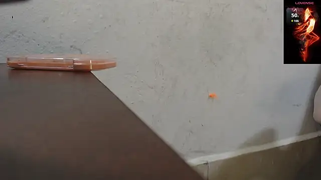 toxxxic cams online show from November 2025 04:33:02 AM