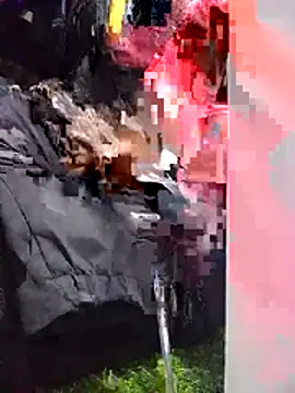 Hailey BaileyXYZ online show from April 2026 01:37:01 PM