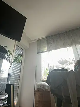 Toyjungee online show from April 2026 04:47:02 PM