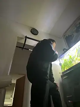 Toyjungee online show from October 2025 03:22:01 PM