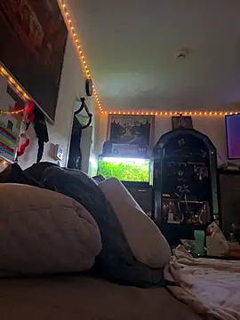 Toyjungee online show from February 2026 08:08:02 AM