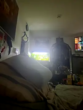 Toyjungee online show from November 2025 09:42:02 AM