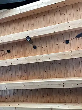 Fellix online show from January 2026 12:00:01 PM