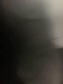 Snapshot of Fellix chatting on March 2025 11:33:02 AM Fellix online show from March 2025 11:33:02 AM