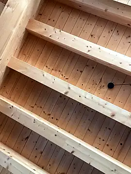 Fellix online show from January 2026 11:15:02 AM