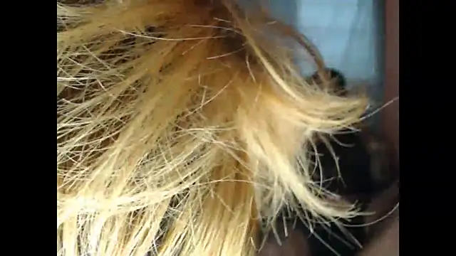 lover 1994 online show from March 2026 12:06:02 PM