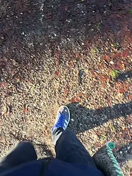 Mrbighardcock online show from January 2026 10:19:02 AM