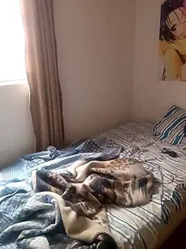 gianfranco1230 online show from November 2025 12:09:02 PM