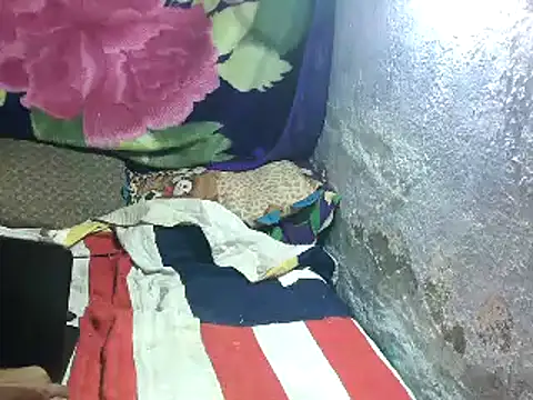 Rocobodymassager online show from March 2026 06:52:01 AM