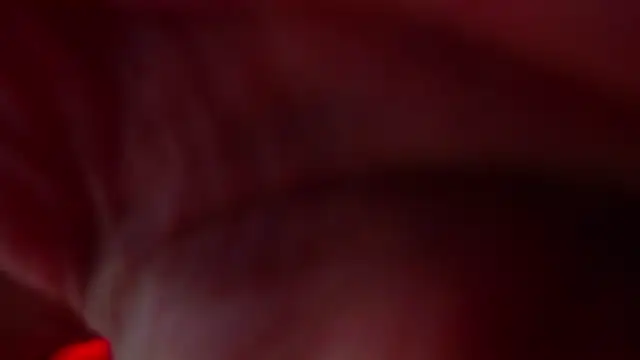 hanna rabbit  online show from September 2025 01:12:02 AM