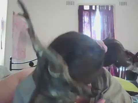 Snapshot of ellieXXXbaby chatting on December 2024 12:55:02 AM ellieXXXbaby online show from December 2024 12:55:02 AM