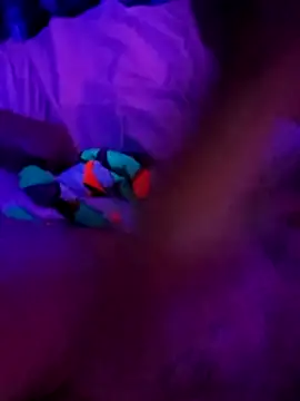 cammyquart online show from November 2025 10:09:02 AM