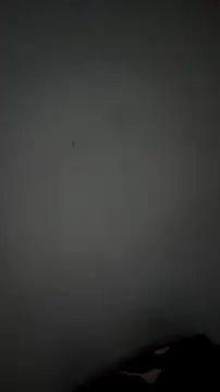 Briana Wells  online show from April 2026 02:49:02 AM