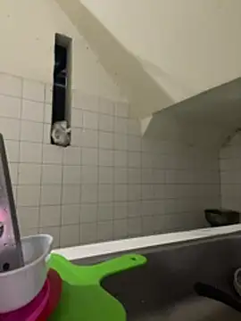 Leticia goddes online show from March 2026 04:38:02 AM