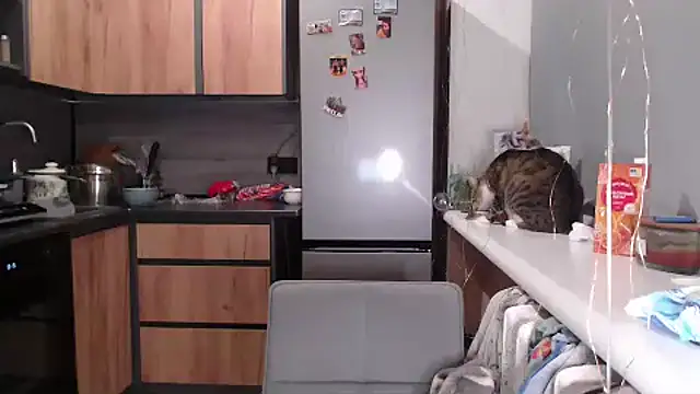 delightful sofi online show from March 2026 06:20:02 PM