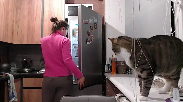 delightful sofi online show from January 2026 02:54:02 PM