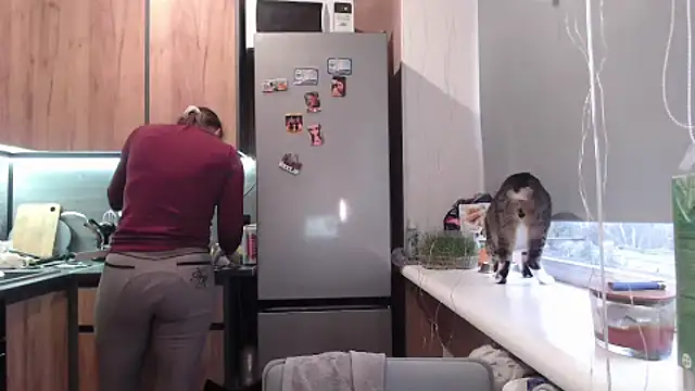 delightful sofi online show from March 2026 03:23:01 PM