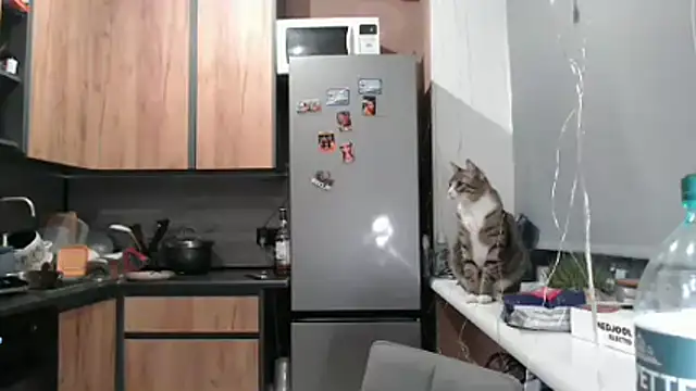 delightful sofi online show from March 2026 06:45:02 PM