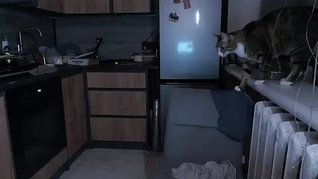 delightful sofi online show from March 2026 08:56:01 PM