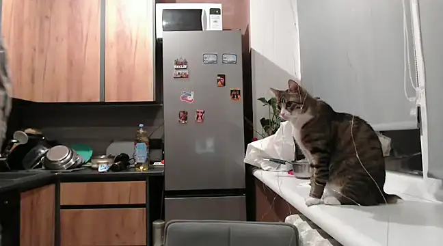 delightful sofi online show from February 2025 07:38:01 PM