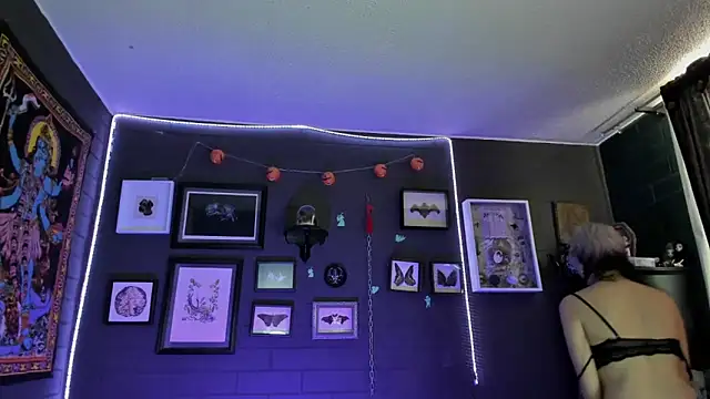 insania 9999  online show from November 2025 05:13:02 PM