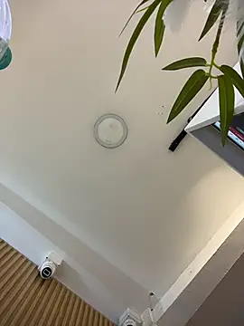 clarachanelricek online show from March 2026 08:23:02 PM