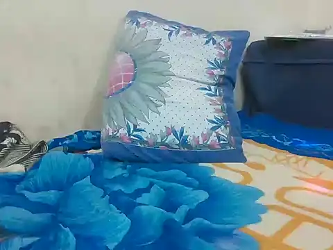 pritamkr69 online show from December 2025 05:58:01 PM