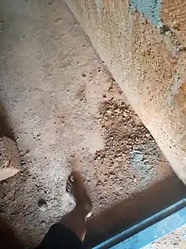 Snapshot of Mallupaiyanaachu chatting on February 2026 05:05:01 AM Mallupaiyanaachu online show from February 2026 05:05:01 AM