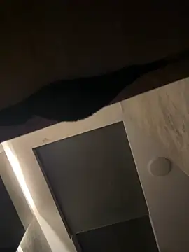 CeliWoods online show from September 2025 10:09:01 AM