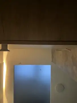 CeliWoods online show from November 2025 10:49:02 AM