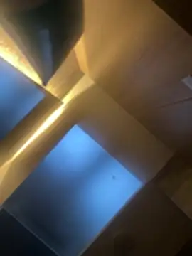 CeliWoods online show from February 2026 11:17:01 AM