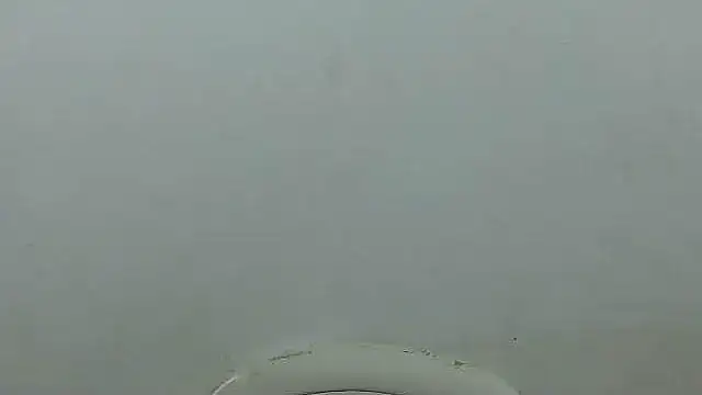 Snapshot of charrysexy1 chatting on November 2025 09:46:02 AM charrysexy1 online show from November 2025 09:46:02 AM